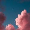 Elissa_Phillips♡ - @elissa_phillips - TikTok