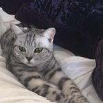 Elissa Phillips - @flipperphillips - Instagram