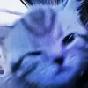 Elisa Rocha - @elisarocha897 - TikTok