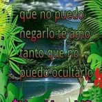 Elissa Liz Paucar Rojas - Facebook
