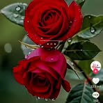 Elisa Roman - Facebook