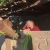 Elisa Roman - @elisaroman3 - TikTok