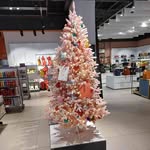 Melissa Sampson - @melissa.sampson.96343 - Instagram