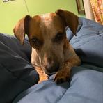 Elissa Schmidt - Facebook