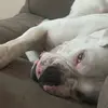Elisa Schultz - @elisaschultz - TikTok