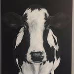 Melissa Schultz - @melissaschultz807 - Instagram