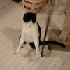 Nelissa Singh - @nelissasingh - TikTok