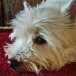 Melissa Slater - @melissa.slater.1804 - Instagram