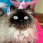 Elissa Taylor Wilton - @elissa_wilt - Instagram