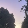 elissatodd1 - @elissatodd1 - TikTok