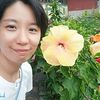 Elissa Wang - @30507994665 - TikTok