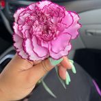 Elissa Metheny - Facebook