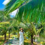 Elisa Weaver - Facebook