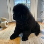 Elissa Pressman Weber - @elissaweber - Instagram