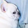 ElissaWilliamsonOH65934 - @elissawilliamsonoh65934 - TikTok