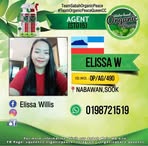 Elissa Willis - Facebook