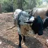 eliú guzmán - @user61814813476783 - TikTok