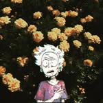 Eliu López - @eliu_lopez17 - Instagram