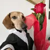 Eliu Ramos - @eliu.ramos1 - TikTok