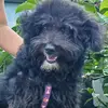 ELIU RIVERA - @eliu.rivera92 - TikTok