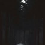 Eliu Rojas Ramirez - @eliurojasramirez - Instagram