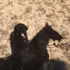 Eliu Sanchez - @eliu.sanchez3 - TikTok