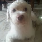 eliu sanchez gilberto loreto - @eliusanchezgilbertoloreto - Instagram