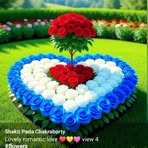 Saran Ali - Facebook