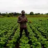 Eliud George Mteze - @eliudgeorge01 - TikTok
