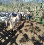 Eliud Morales - Facebook