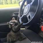 Eliud Erubiel Estrada Piña - @eliud3849 - Instagram