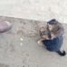 Eliud Sandoval - Facebook