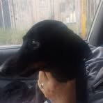Eliud Serrato - Facebook