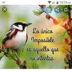 Eliud Uresti - Facebook