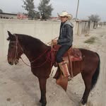 Eliud Velazaquez - @eliudvelazaquez - Instagram
