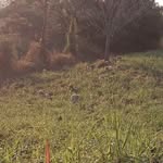 Eliud Vera Zurita - @eliudverazurita - Instagram