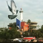 Eliut Ramirez - @elir_koko - Instagram