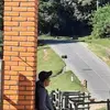 eliuthcontreras5 - @eliuthcontreras5 - TikTok