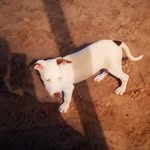 enoc Valencia - @eliuthvalencia31 - Instagram