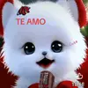 Elix Cruz Acosta - @elix.cruz.acosta - TikTok