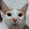 Maryelix Miranda - @maryelix.miranda - TikTok