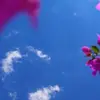 Eliz_Rivera - @eliz_rivera - TikTok