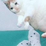 elizabeth ackerman Arias - @eliza_ackerman6714 - Instagram