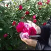 elizaali - @elizaali1809 - TikTok