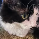 Eliza Andersen - @fluffernuttersen - Instagram