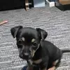 Eliza Armstrong - @eliza.armstrong7 - TikTok