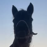 Eliza - @eliza_aronia_ - Instagram