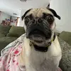 Eliza - @elizaballaro - TikTok