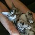 Eliza Arthur - Facebook