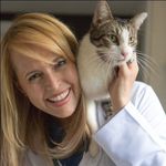 Dr. Elizabeth Bales - @doclizbales - Instagram